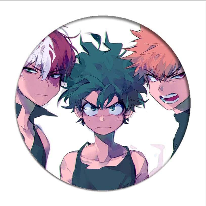 My Hero Academia2