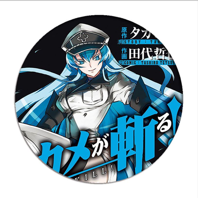 Akame ga KILL 25